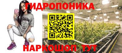 кокаин Кингисепп