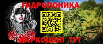 гидра Кинель
