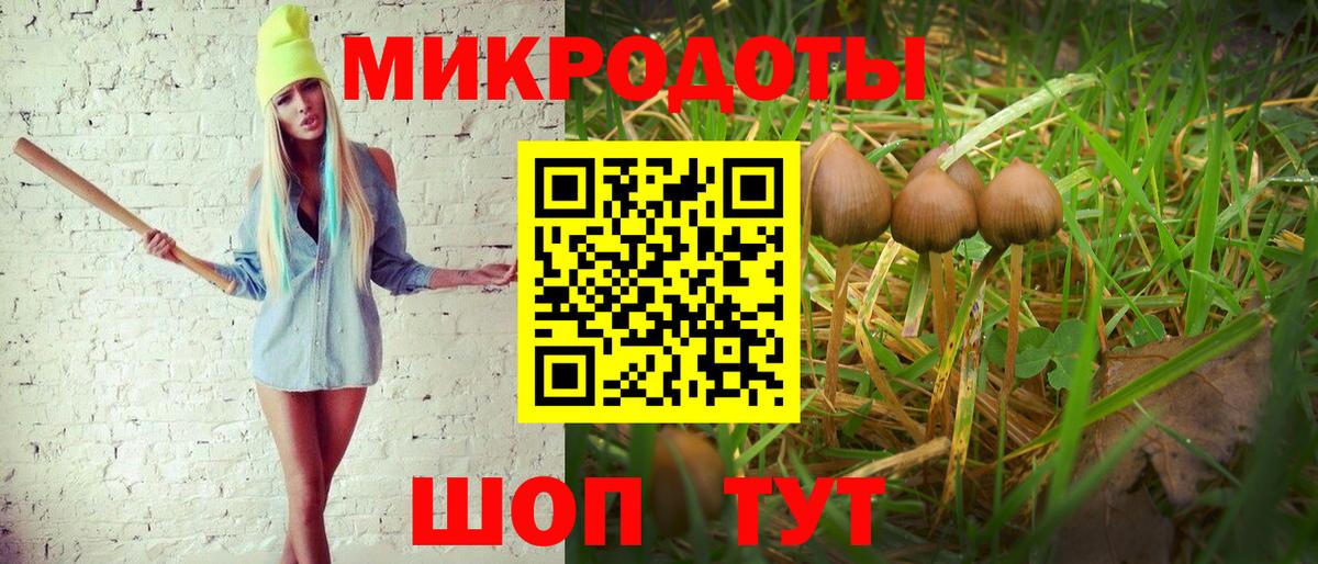 Псилоцибиновые грибы Psilocybe  Вход с VPN  Галлюциногенные грибы мухоморы  Армавир 